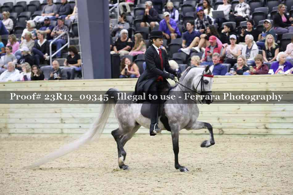 Proof 23R13_09345