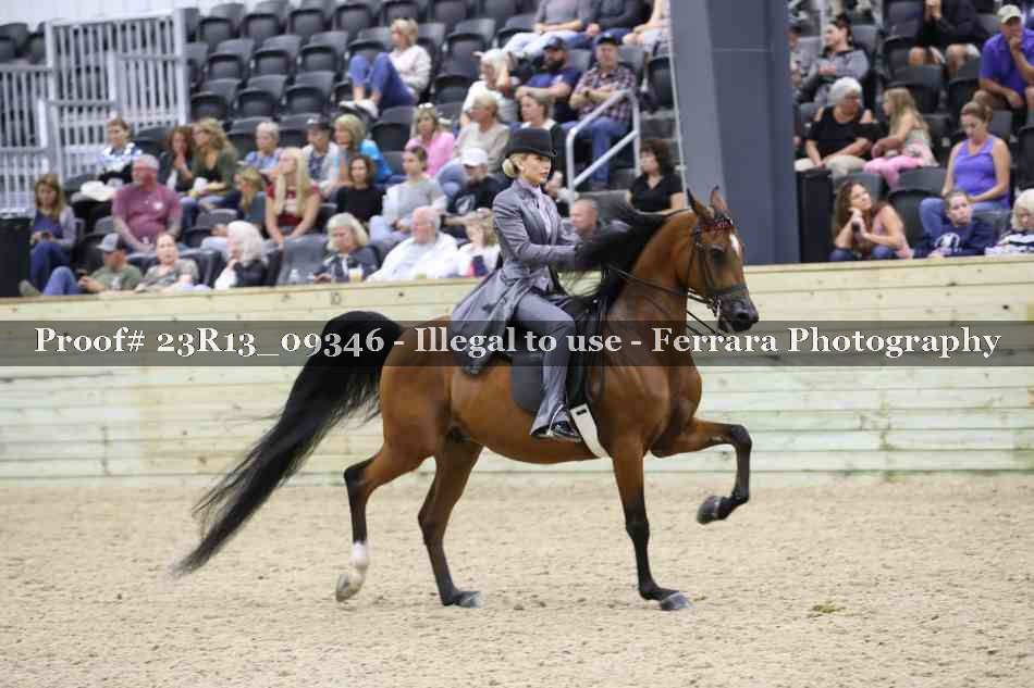 Proof 23R13_09346