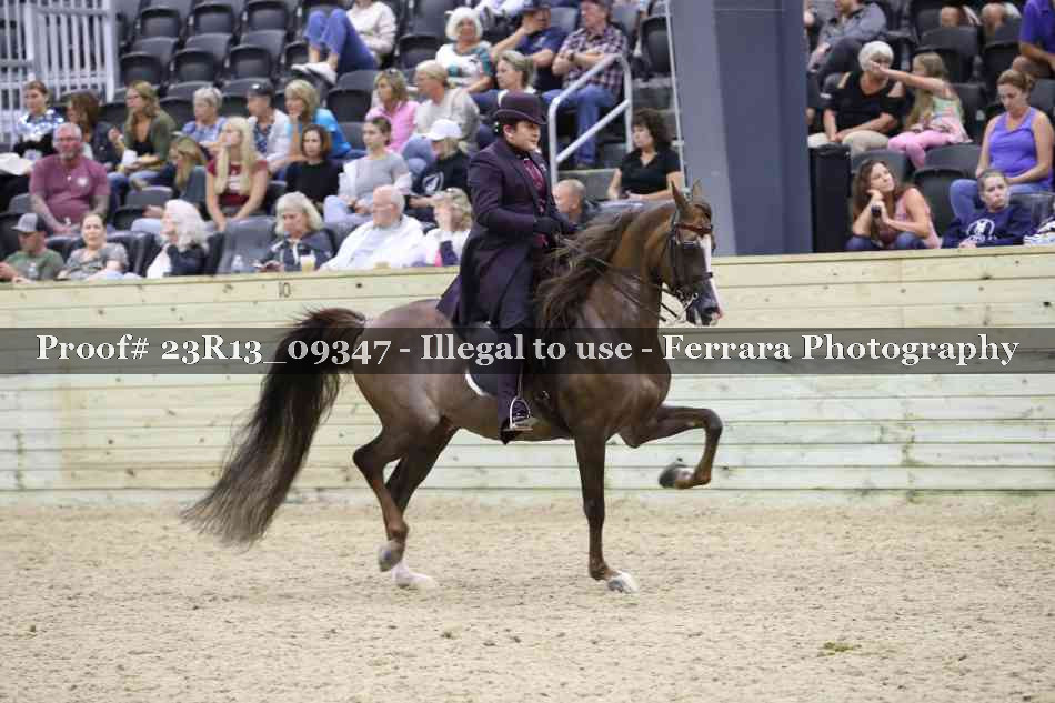 Proof 23R13_09347