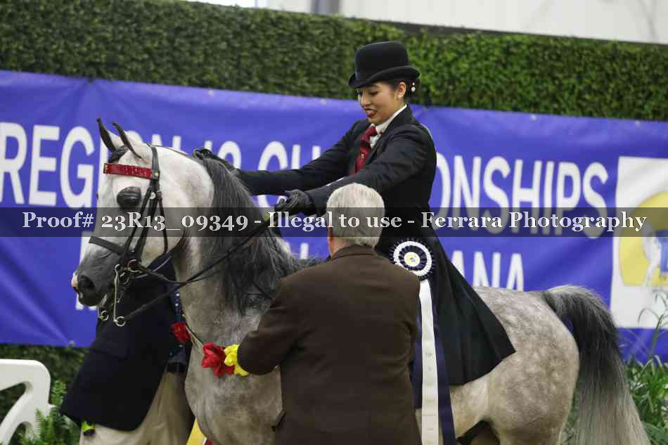 Proof 23R13_09349
