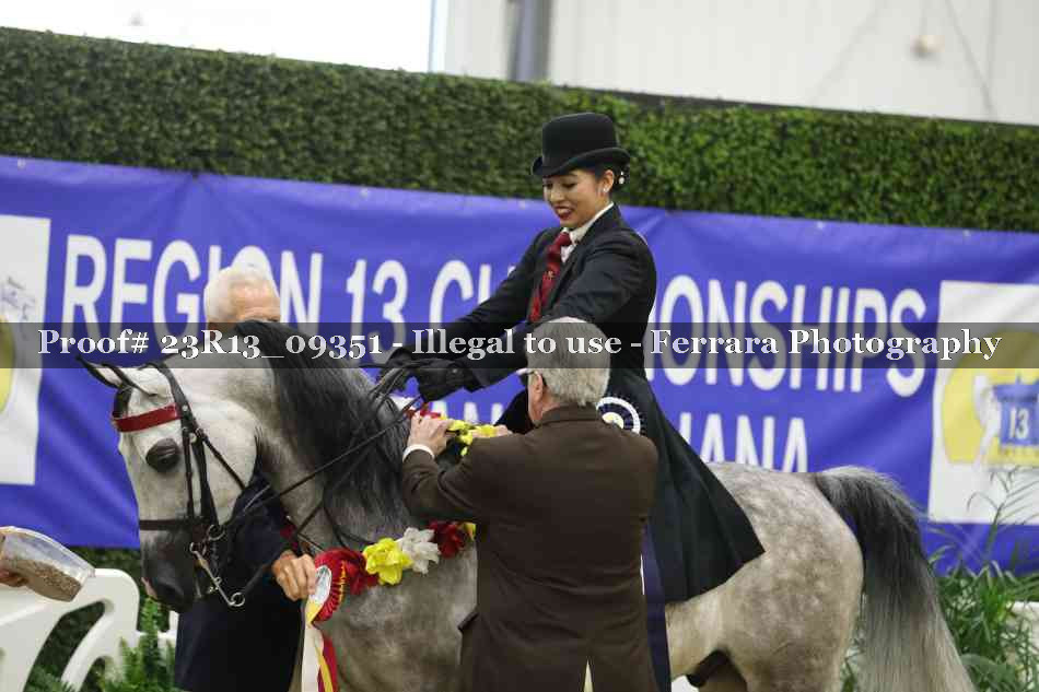 Proof 23R13_09351