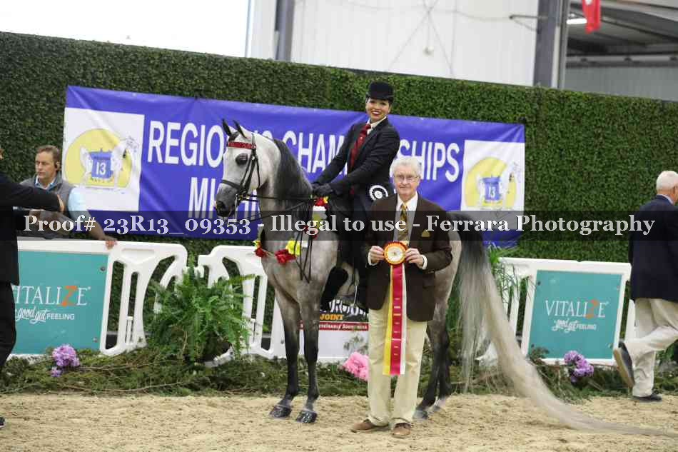 Proof 23R13_09353