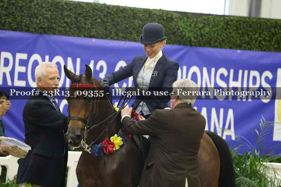 Proof 23R13_09355