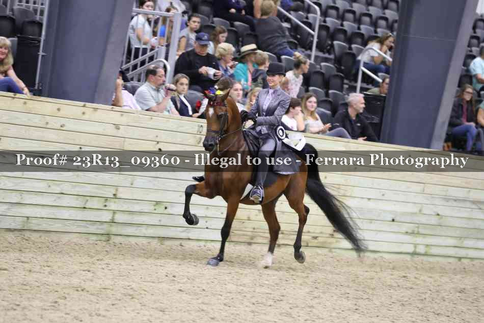 Proof 23R13_09360