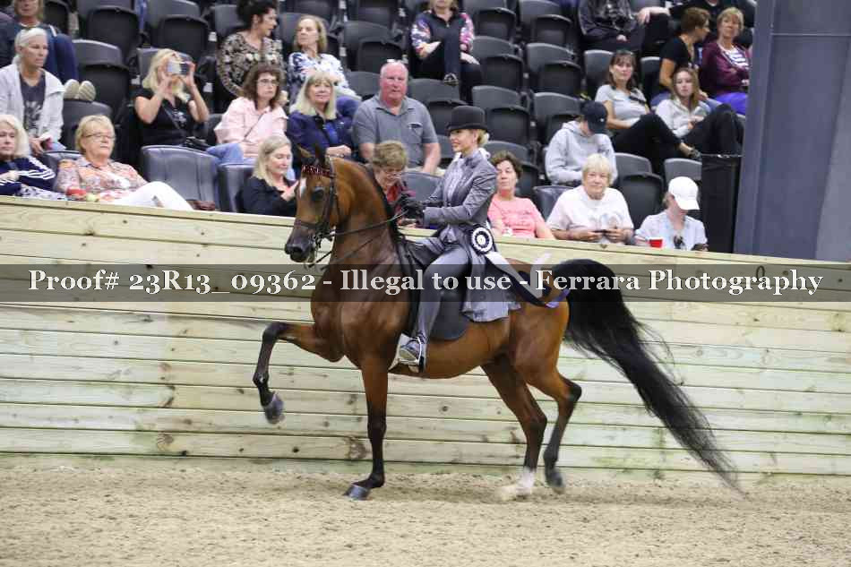 Proof 23R13_09362