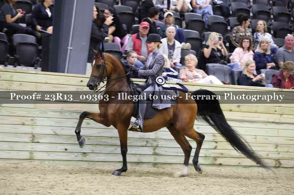 Proof 23R13_09363