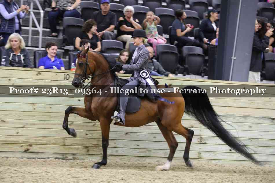 Proof 23R13_09364