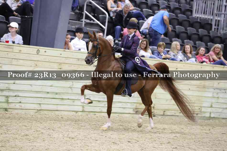 Proof 23R13_09366
