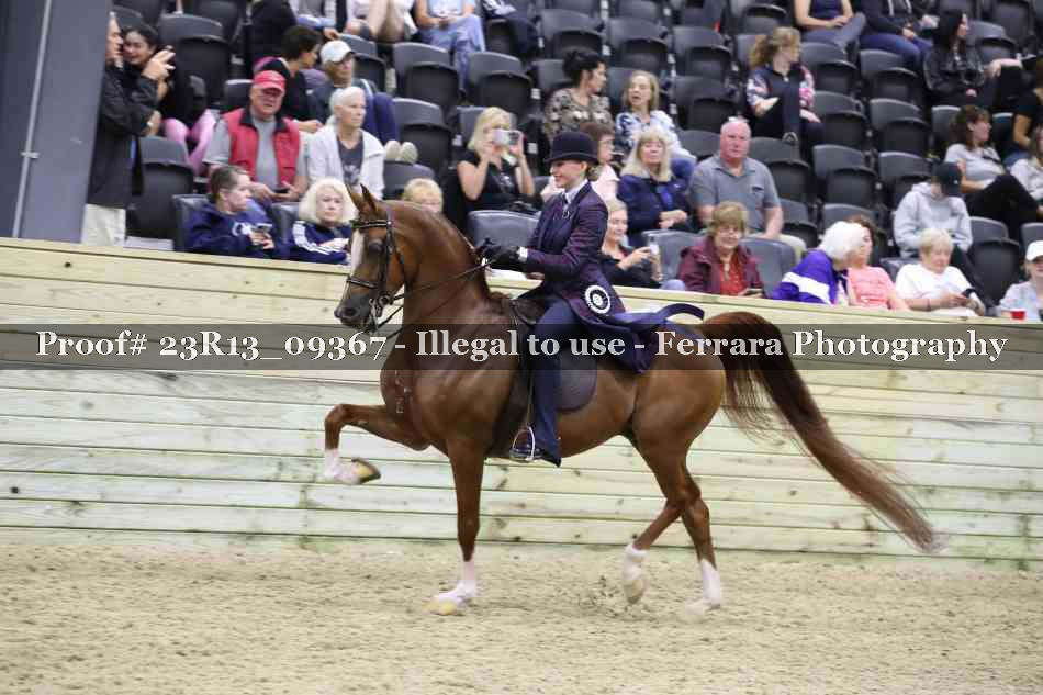 Proof 23R13_09367