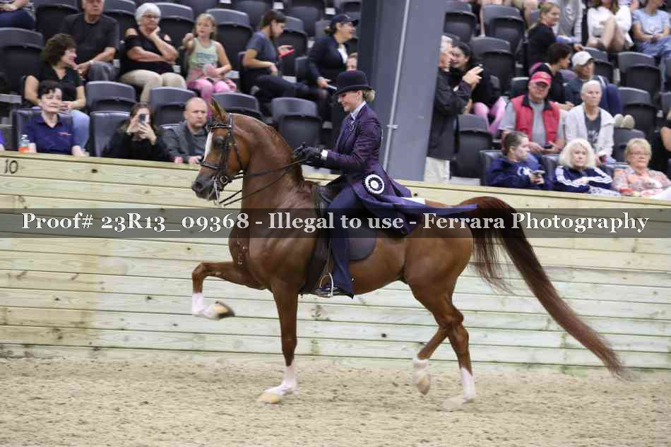 Proof 23R13_09368