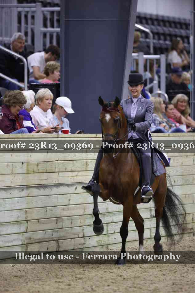 Proof 23R13_09369
