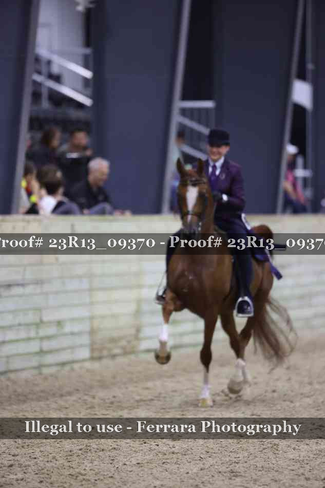 Proof 23R13_09370