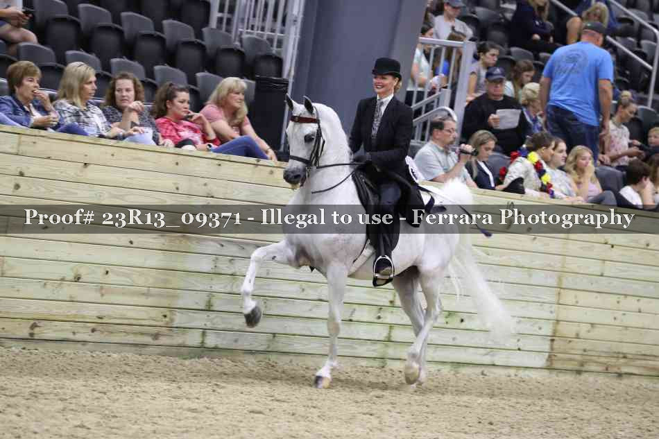 Proof 23R13_09371