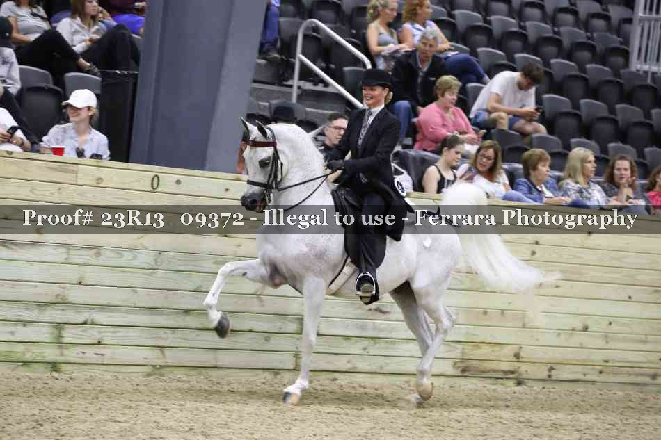 Proof 23R13_09372