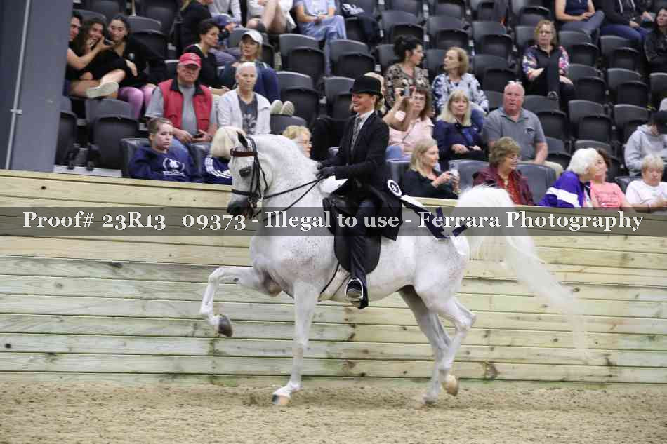 Proof 23R13_09373