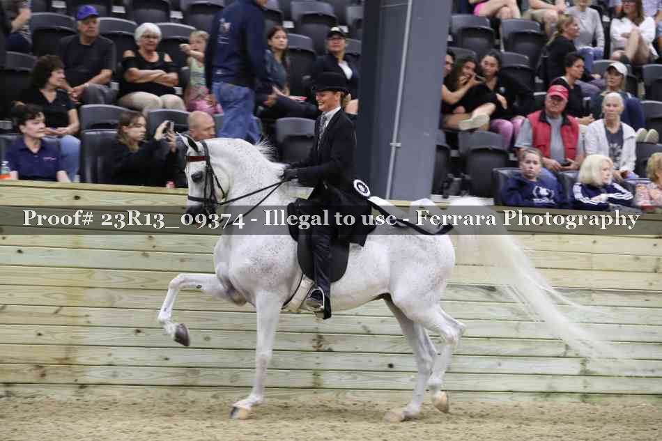 Proof 23R13_09374