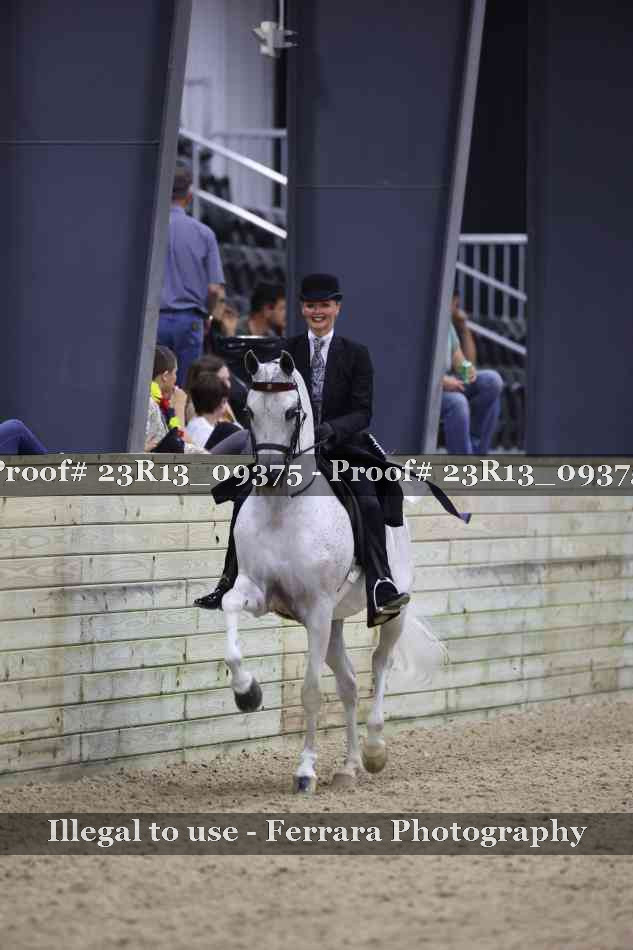 Proof 23R13_09375