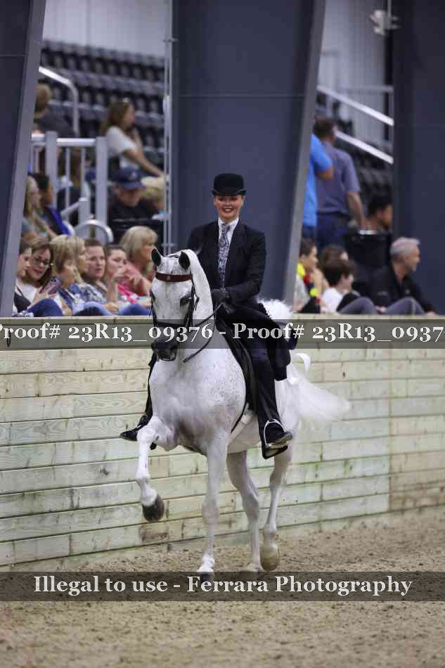 Proof 23R13_09376