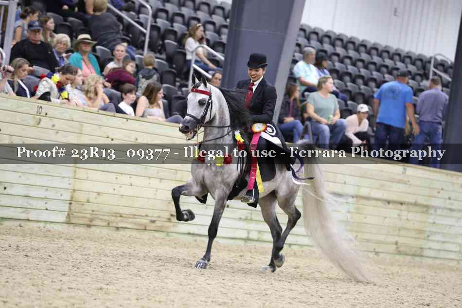 Proof 23R13_09377