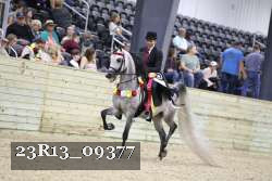 23R13_09377 proof