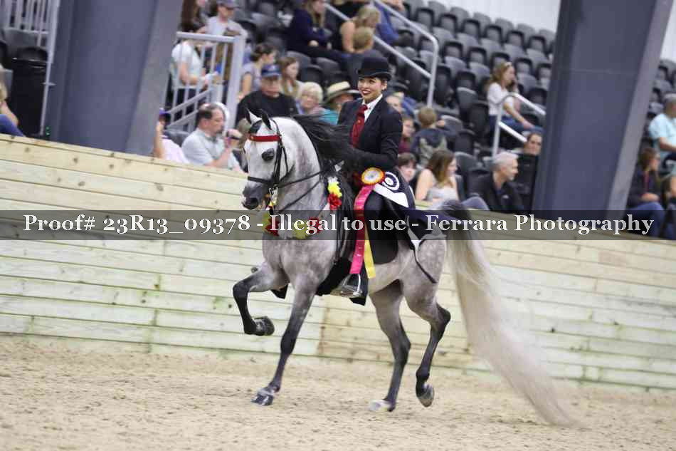 Proof 23R13_09378