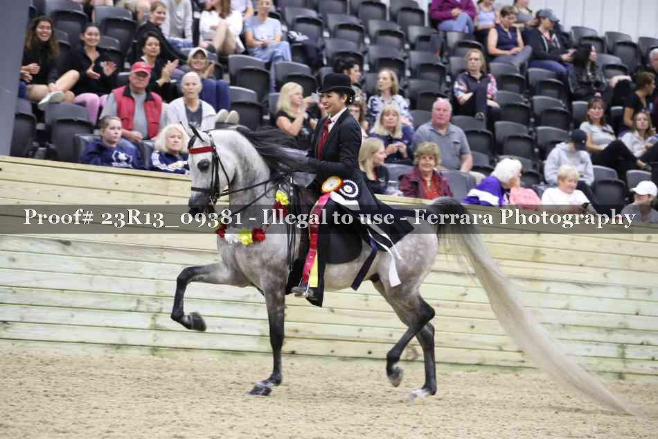 Proof 23R13_09381