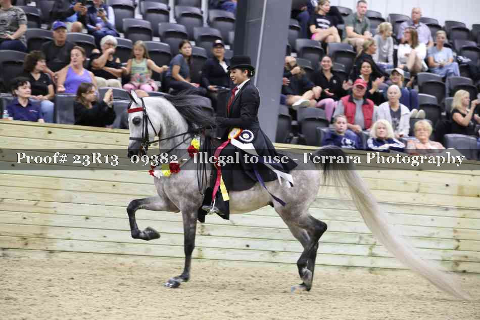 Proof 23R13_09382