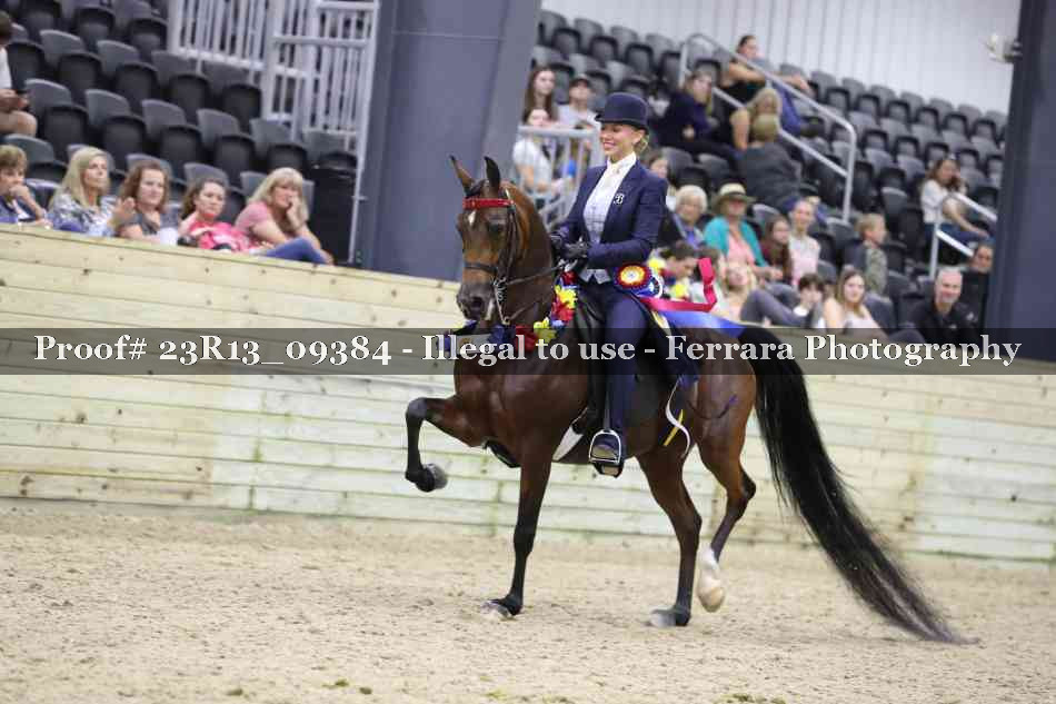 Proof 23R13_09384