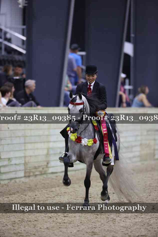 Proof 23R13_09385