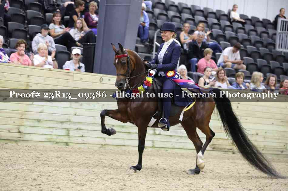 Proof 23R13_09386