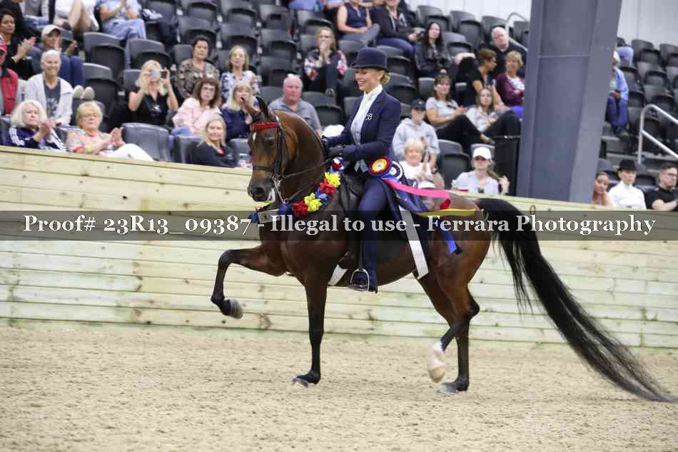 Proof 23R13_09387