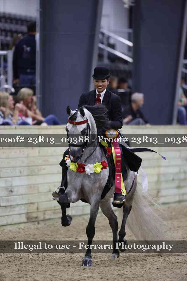 Proof 23R13_09388