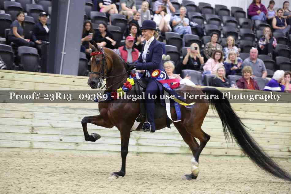 Proof 23R13_09389
