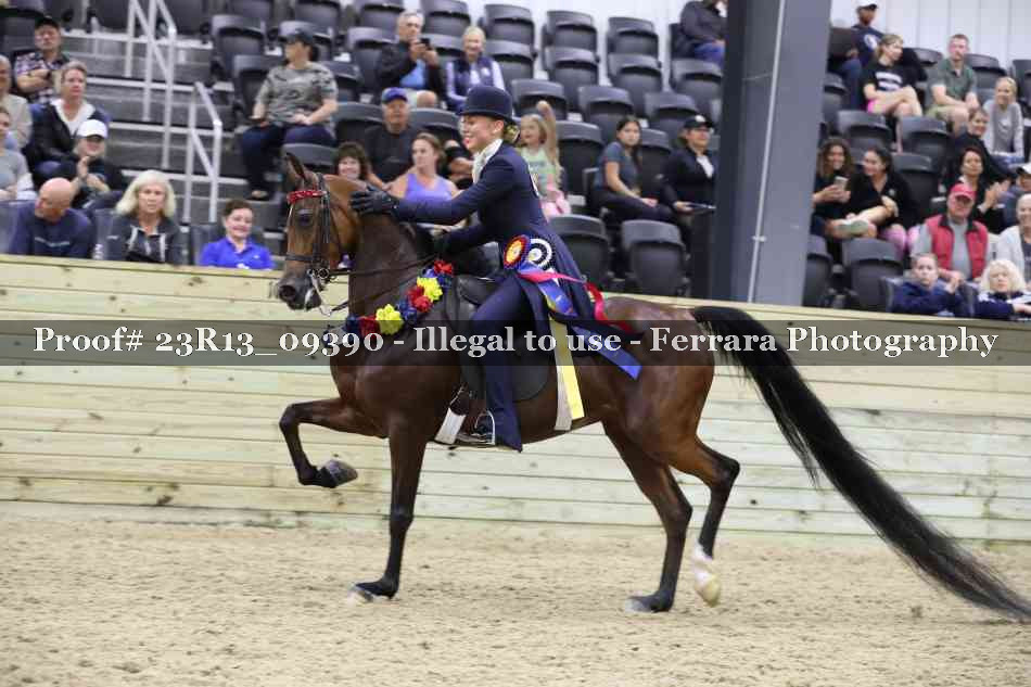 Proof 23R13_09390