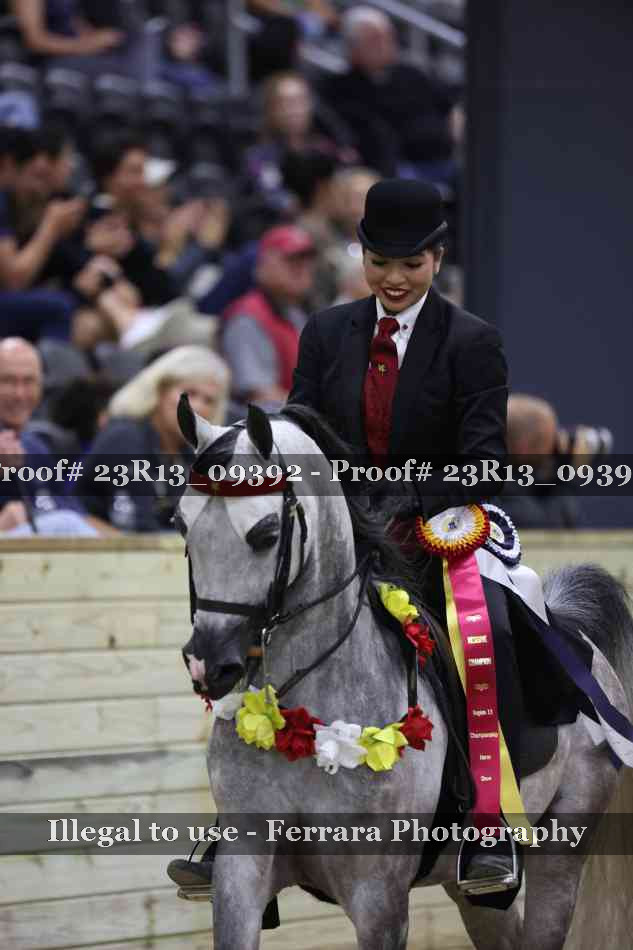 Proof 23R13_09392