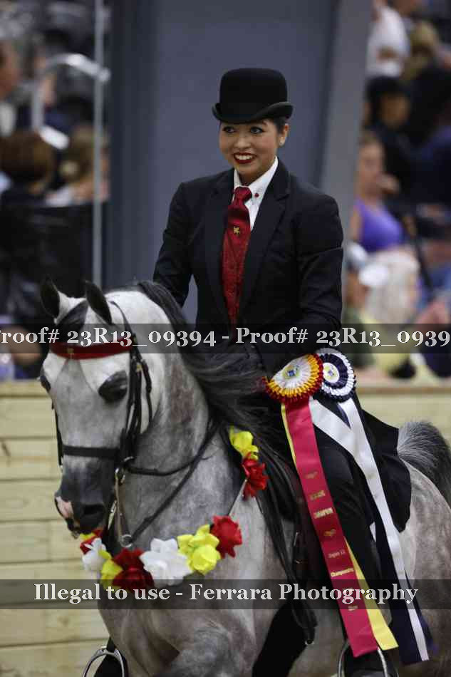 Proof 23R13_09394