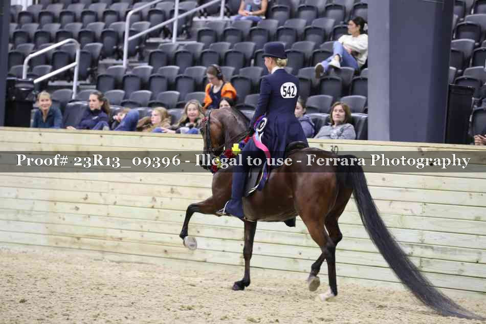 Proof 23R13_09396