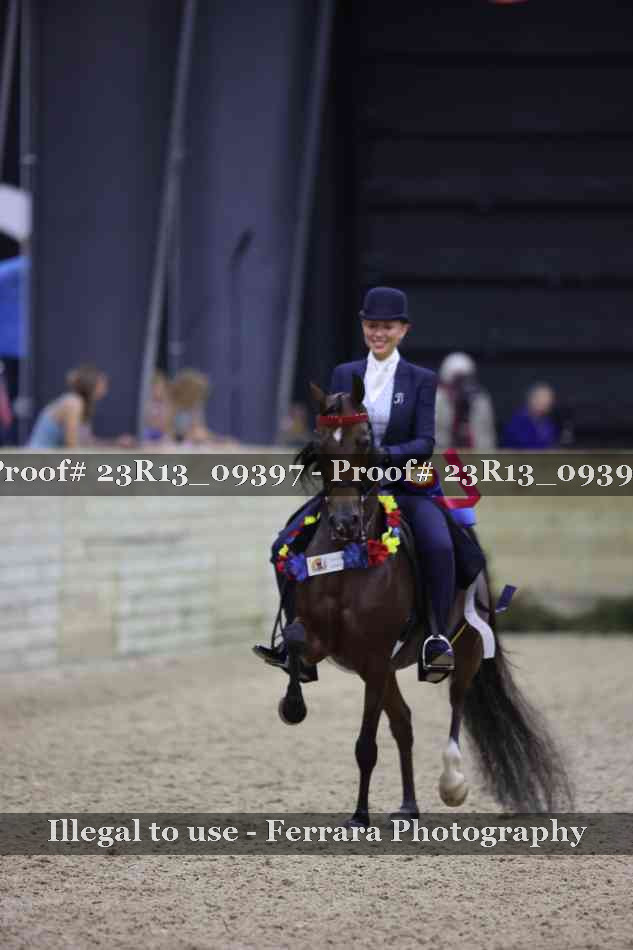 Proof 23R13_09397