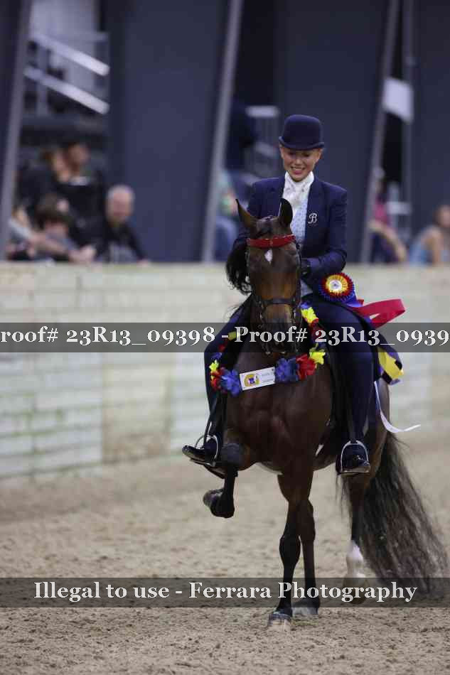 Proof 23R13_09398