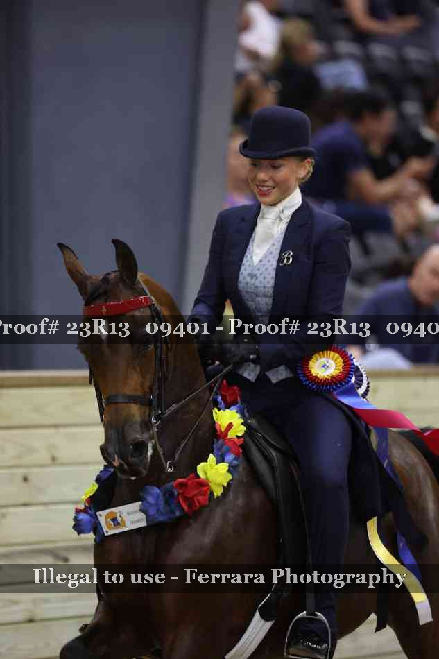 Proof 23R13_09401