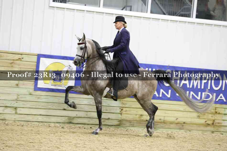 Proof 23R13_09406