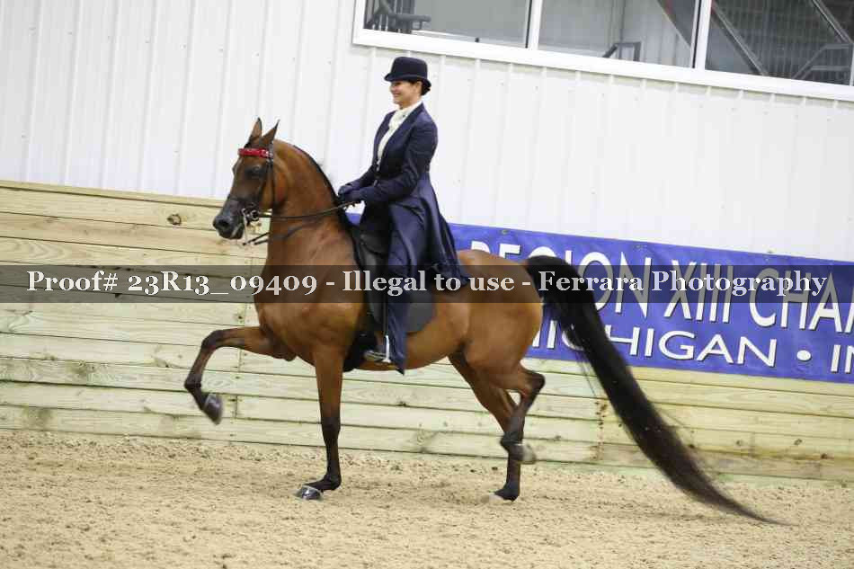 Proof 23R13_09409