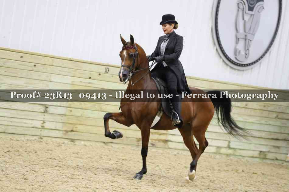 Proof 23R13_09413