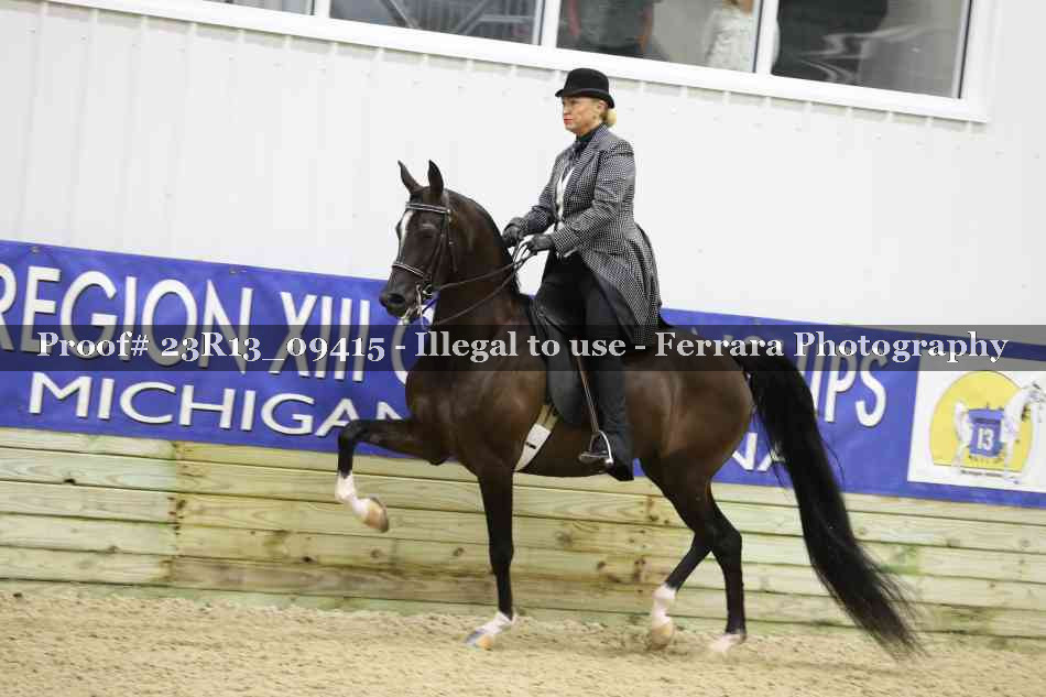 Proof 23R13_09415