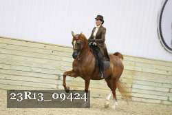 23R13_09424 proof