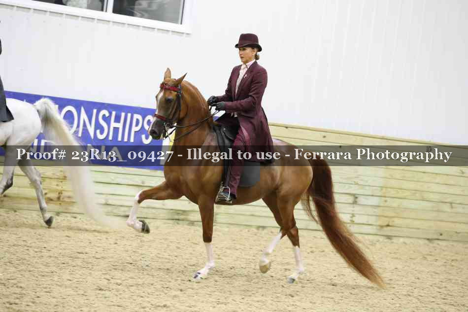 Proof 23R13_09427