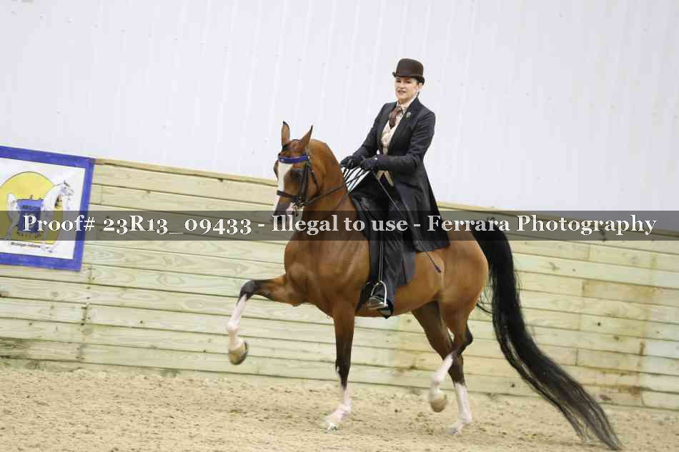 Proof 23R13_09433