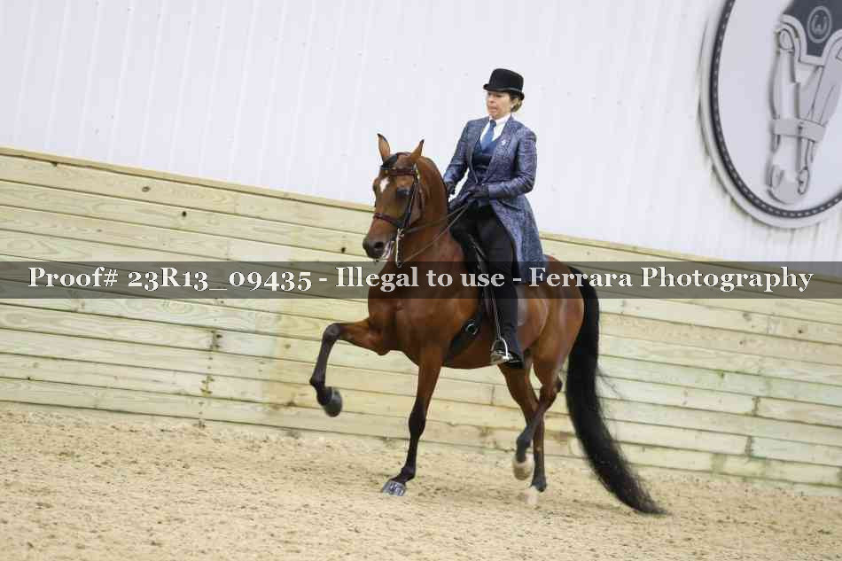 Proof 23R13_09435