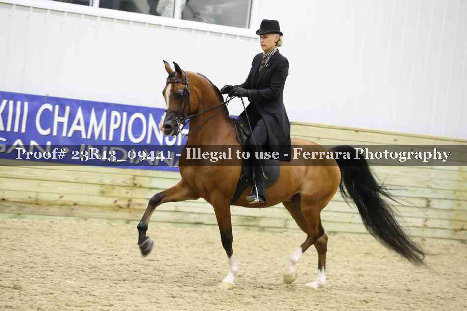 Proof 23R13_09441