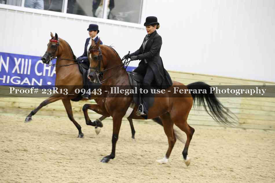 Proof 23R13_09443